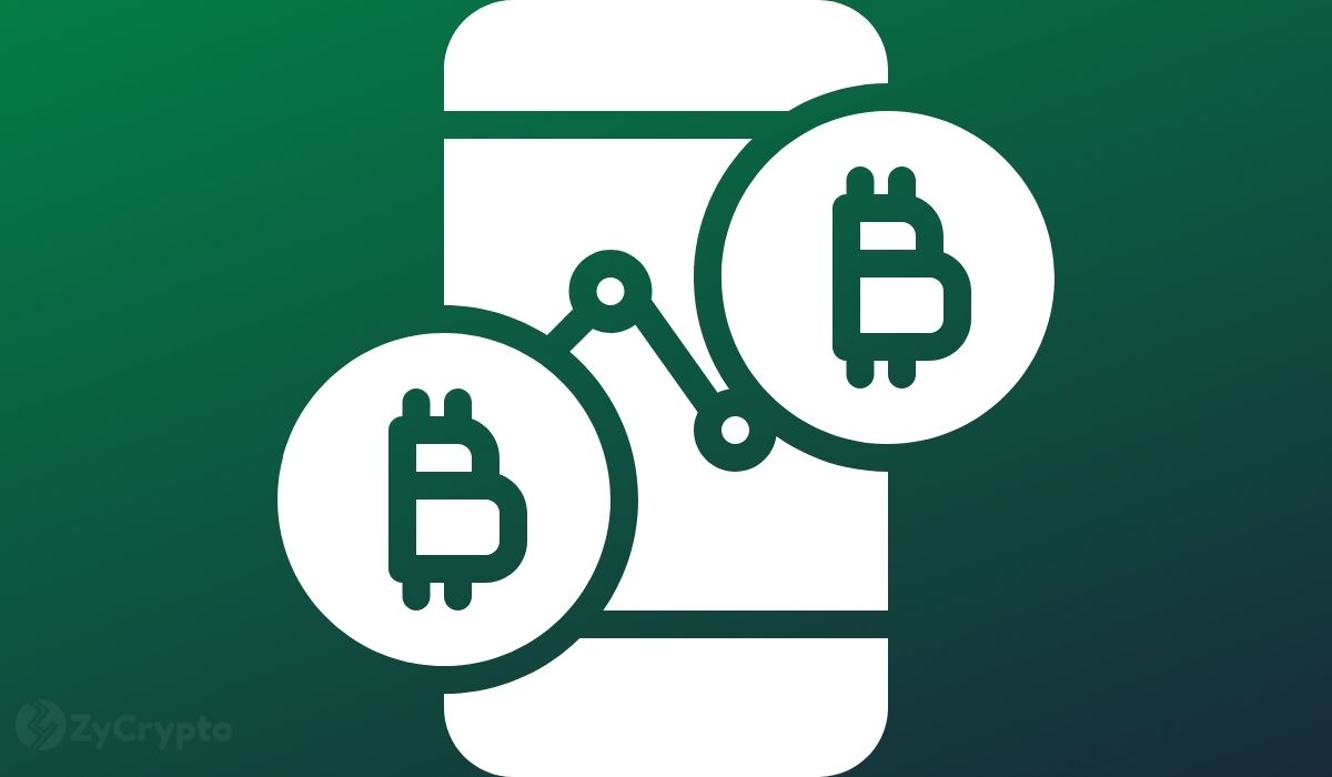 Bitcoin on Ice: Network Activity Sees 50% Drop Since 2021, Fear at Full Throttle