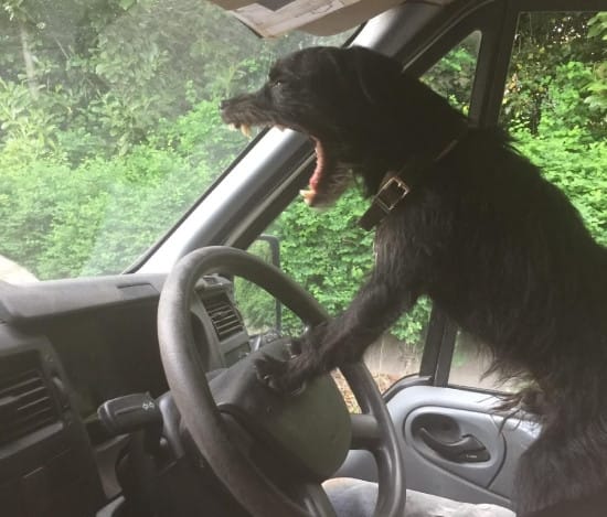 Traffic road rage meme Traffic road rage meme