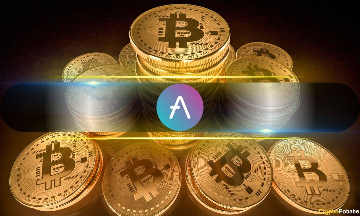 How Aave Could Help End Crypto Winter, According to Bitwise - AabeyLLC Crypto