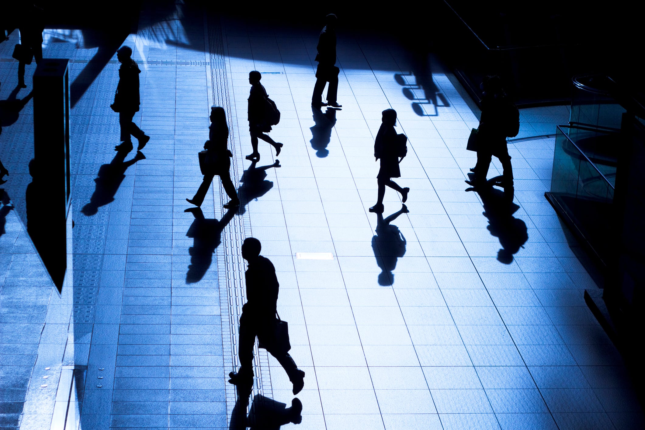 In the Shadows - Fat Tail Daily