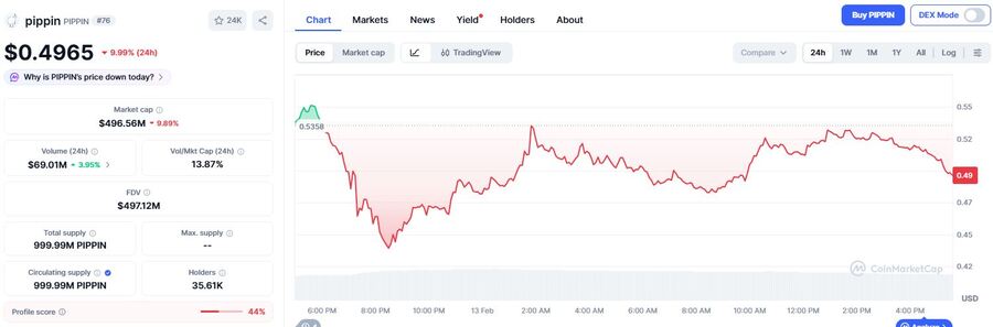 PIPPIN Price Action Signals Stronger Market Rally As Whales Keep Pilling Capital Into The Market: Nansen   