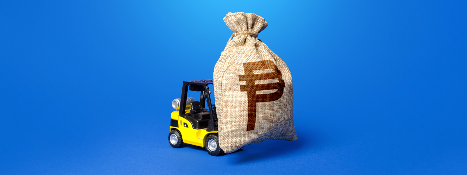 Borrowing on capital market