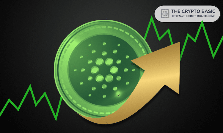 Trader Predicts How High Cardano Price Could go for Pump Phase