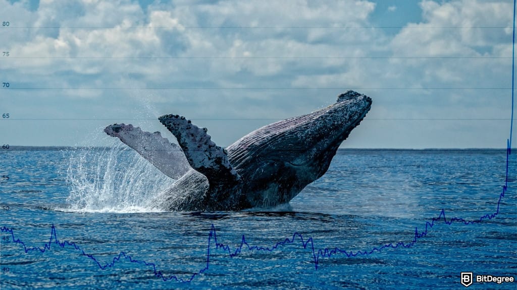 Whales are slowing down… should you worry
