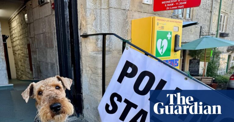 What made ministers think they could delay local elections in England?