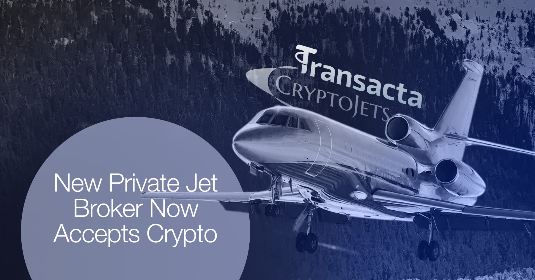 Crypto_Payments_Pro_Luxury_Private_Jet_5_17722251632xdmCvcyYr
