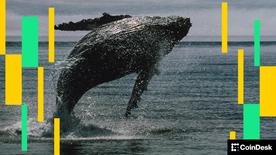 Massive leveraged bets show crypto traders are convinced this week's rally is the real deal