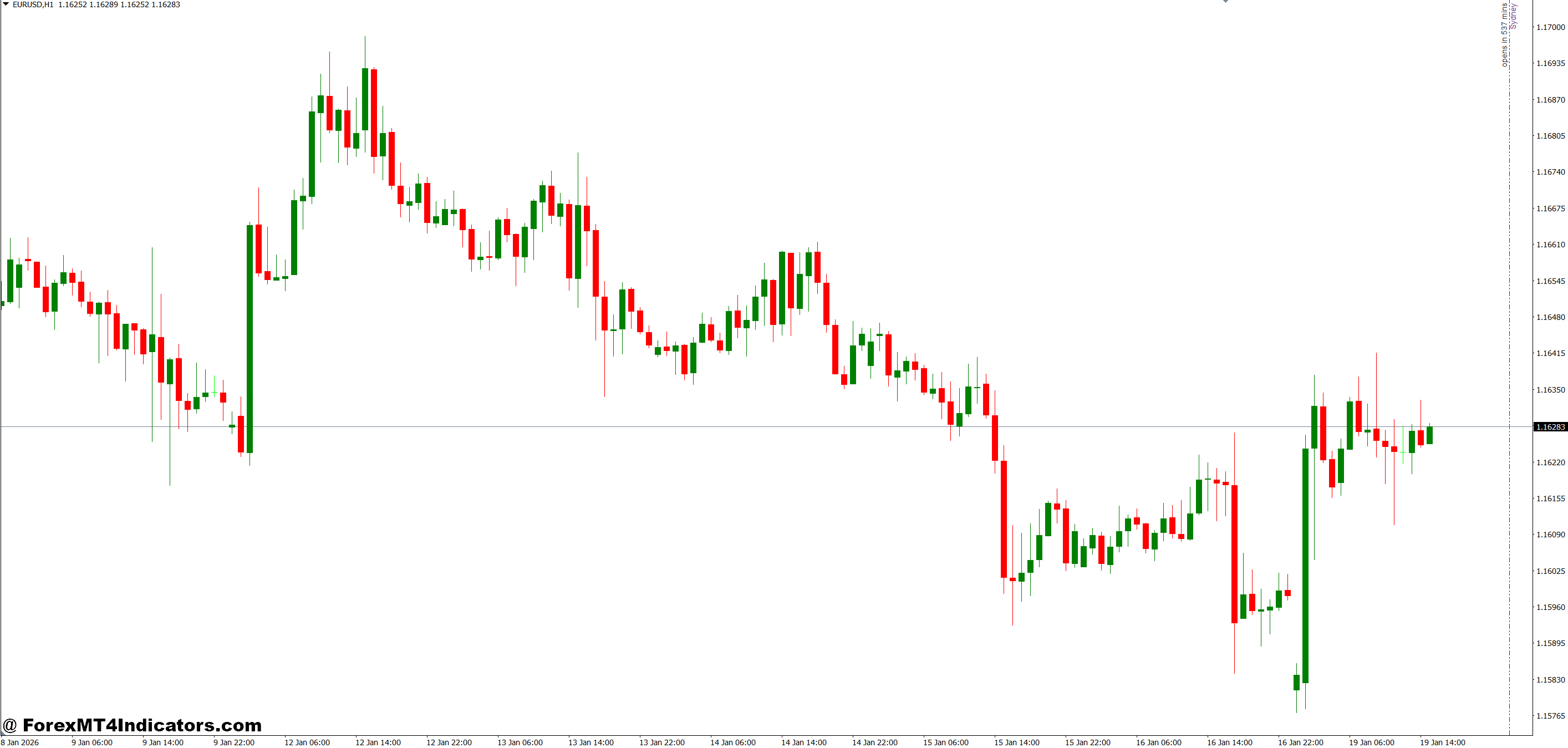 Practical Application in Live Trading