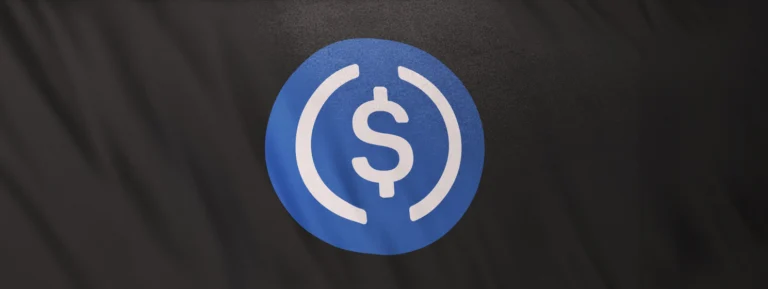 USDC USD Coin icon logo on gray flag banner background