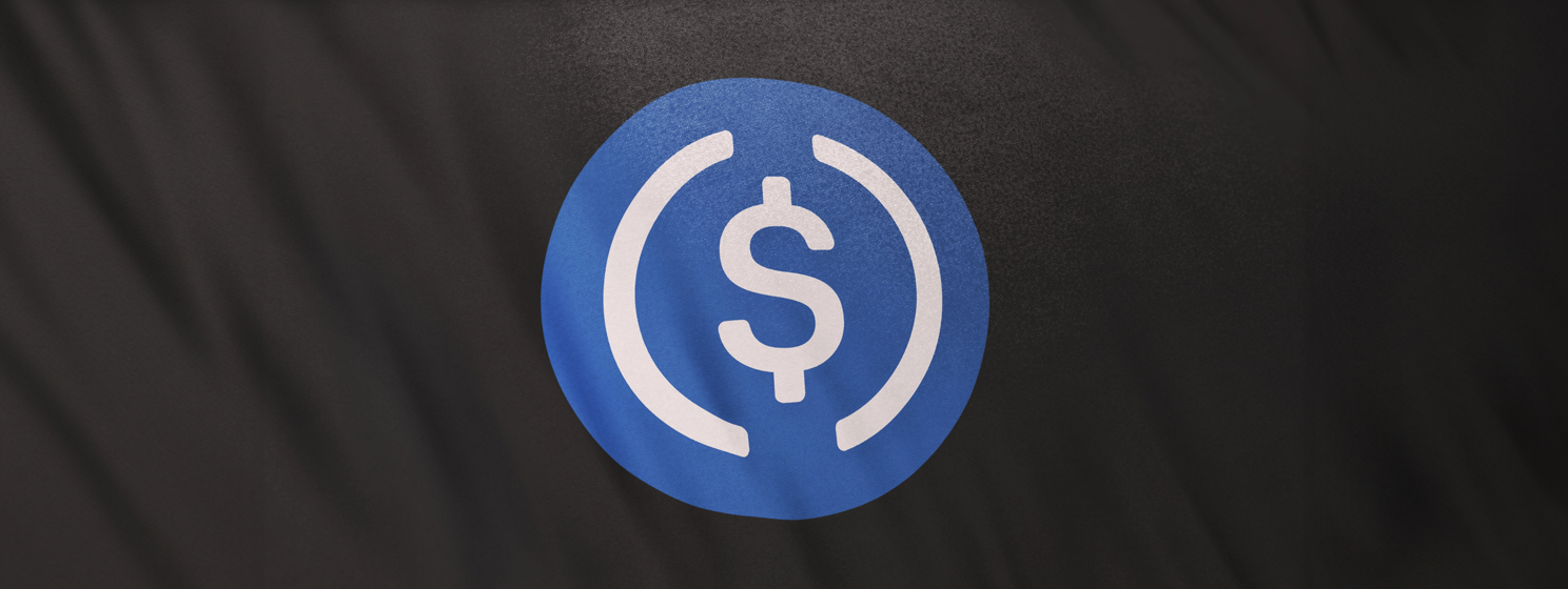 USDC USD Coin icon logo on gray flag banner background