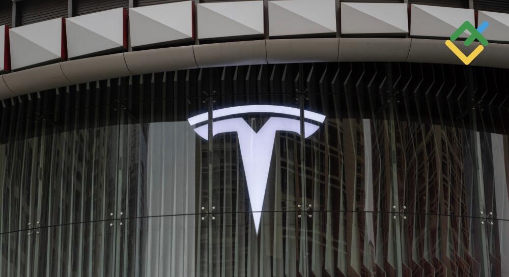 Tesla Shareholders: Who Owns the Most TSLA Stock? | LiteFinance