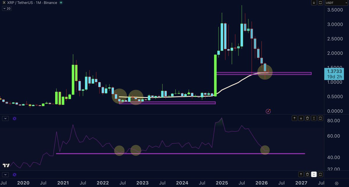 XRP 1M Chart Doctor Profit