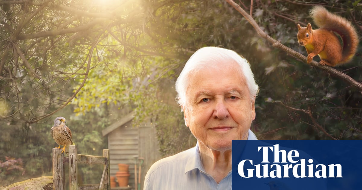 ‘We didn’t want to be preachy’: David Attenborough’s unexpected new show – which might enrage cat lovers