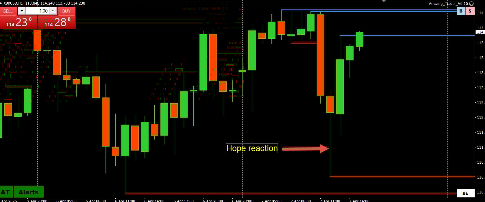 Trading and Risk Management
