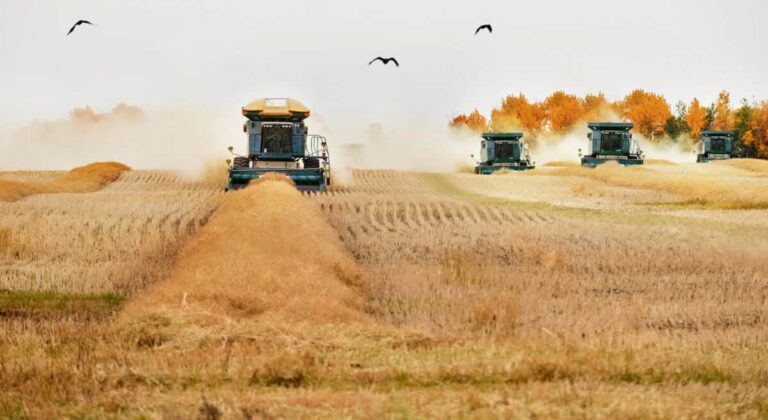 2 Strong Stocks Worth Putting Your $7,000 TFSA Contribution Into in 2026