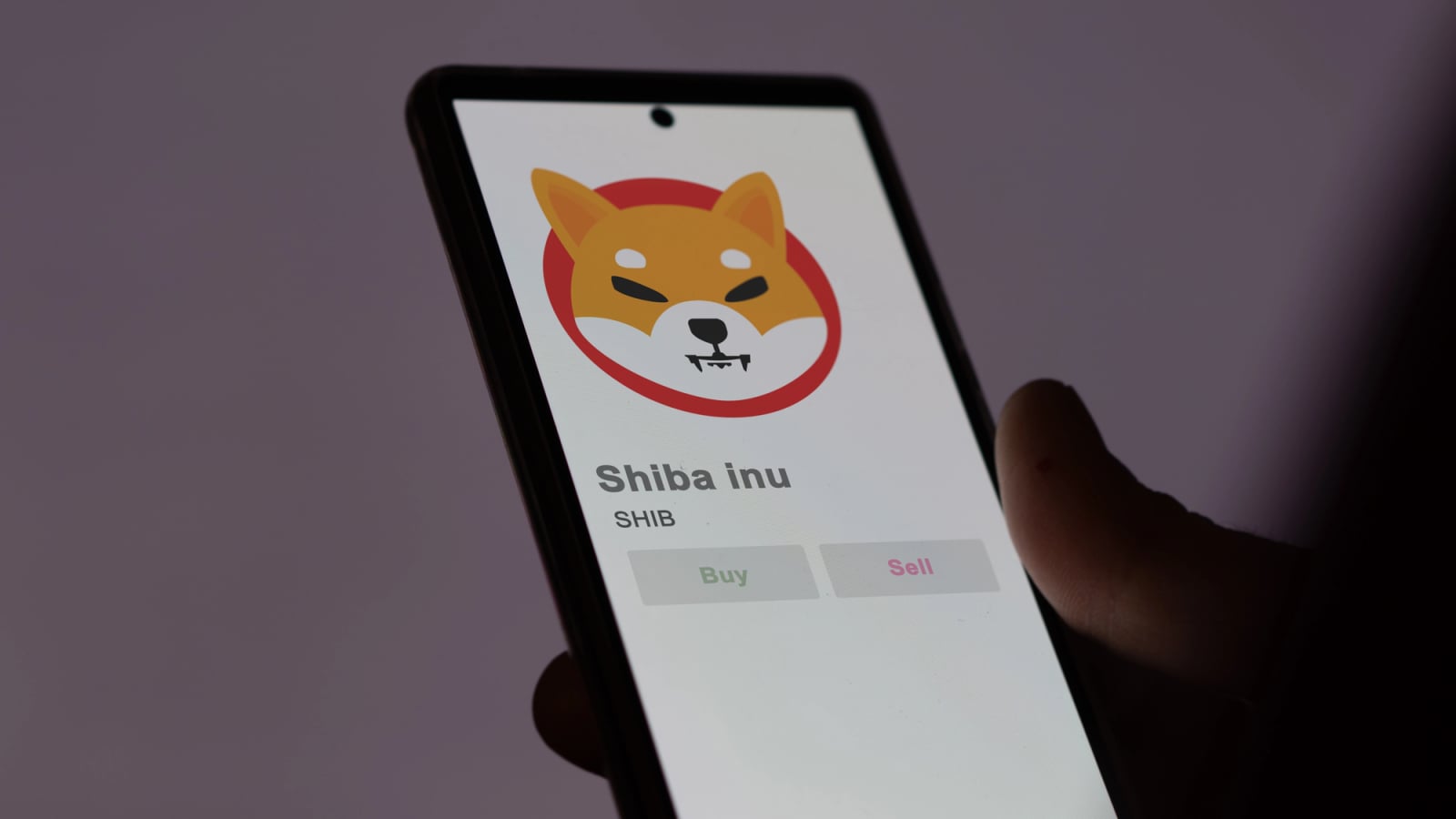 +400 Billion Shiba Inu (SHIB) Added on Exchanges: Rally Faith Fades - U.Today