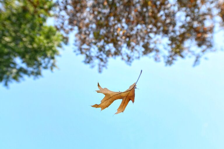 BIZD: Private Credit Is Still In Trouble (NYSEARCA:BIZD)