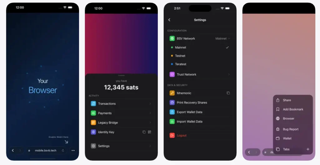 BSV Browser interface