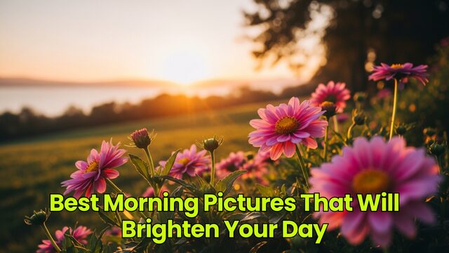 Best Morning Pictures That Will Brighten Your Day