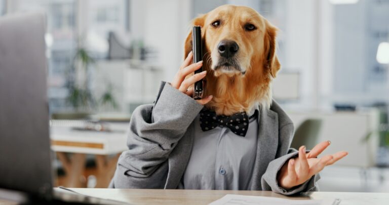 Carlyle Secured Lending: Portfolio, Yield, And Capital Structure Review (NASDAQ:CGBD)