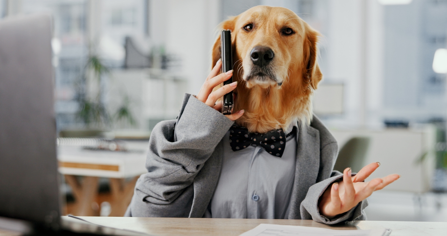 Carlyle Secured Lending: Portfolio, Yield, And Capital Structure Review (NASDAQ:CGBD)