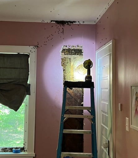 A spotlight on a bedroom wall with an invasion of bees