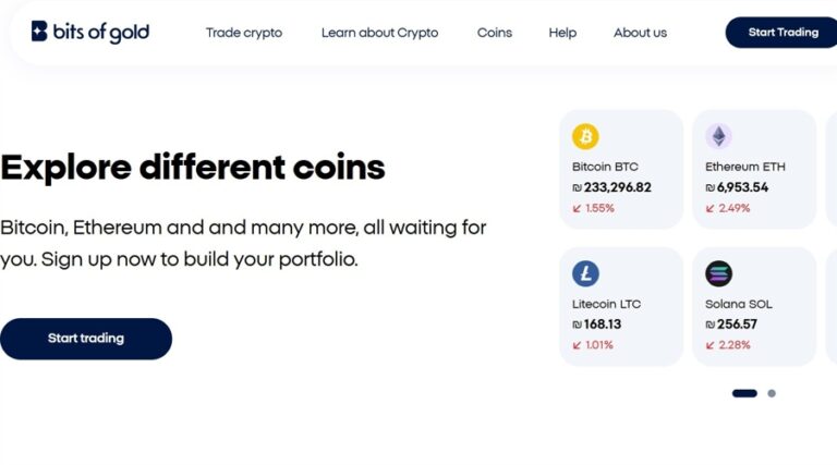 Screenshot of the Bits of Gold website