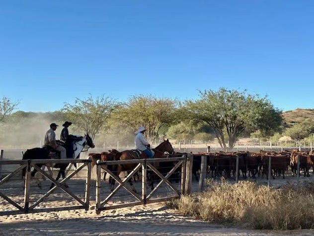 Rough Trail Ahead - Fat Tail Daily