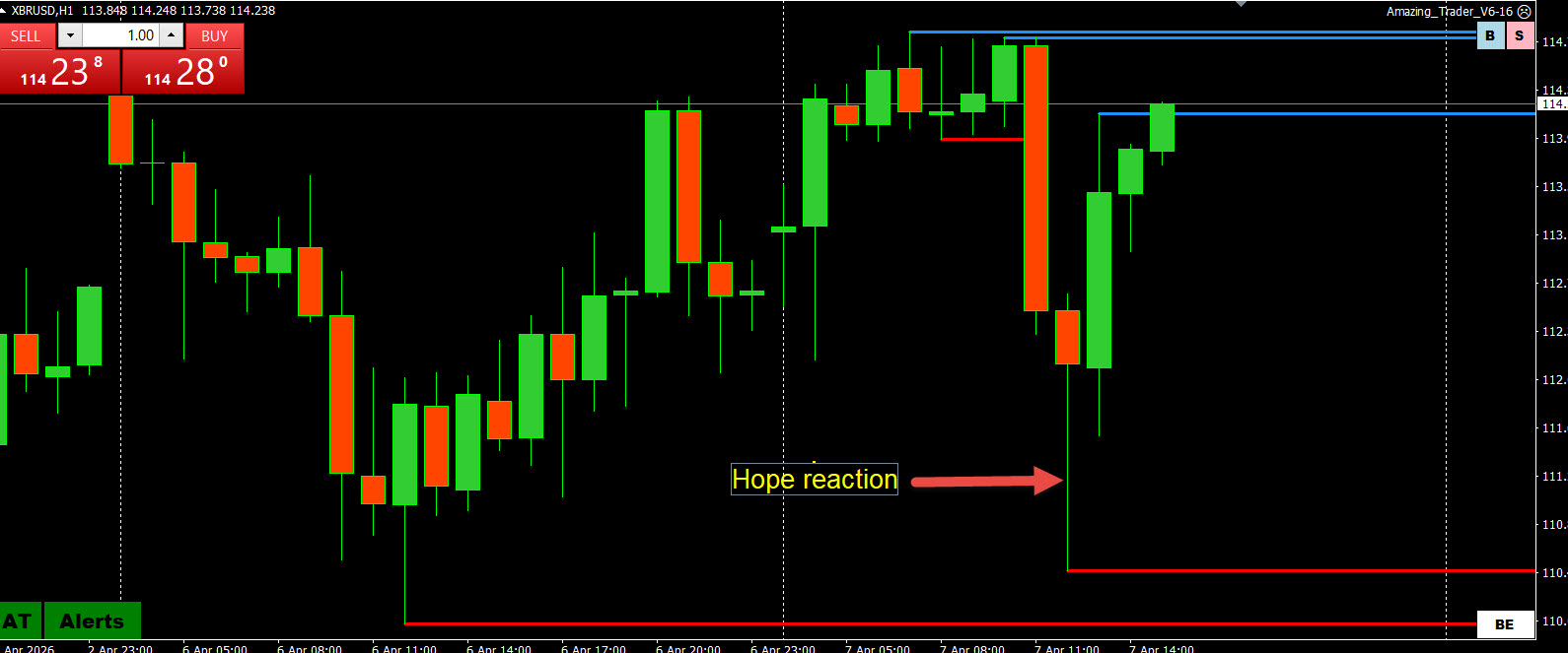  Trading and Risk Management