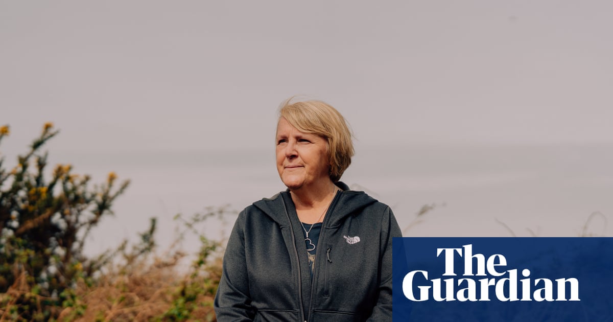 ‘Part of our souls’: the fight to stop the New Forest being split in two