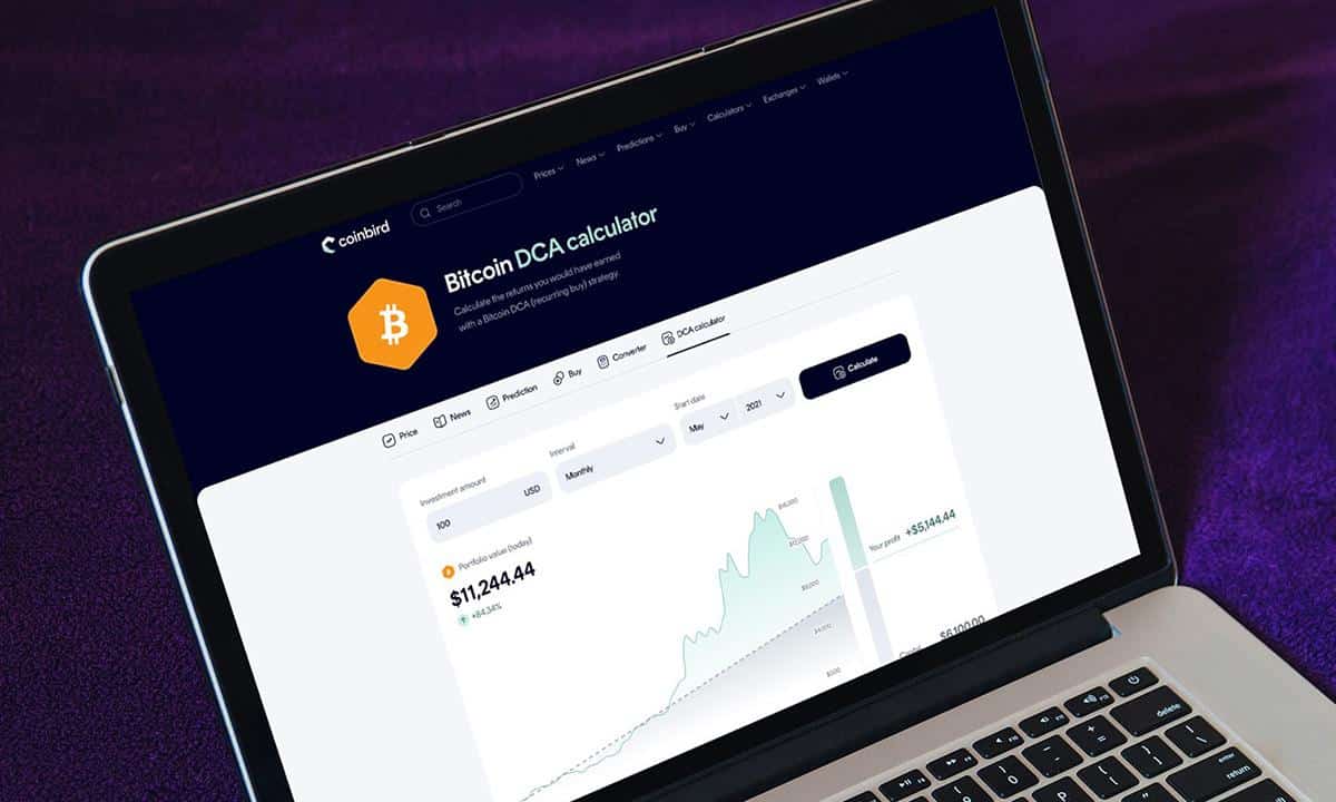 coinbird-analysis-bitcoin-dca_1779098758ePFhCW1EAy