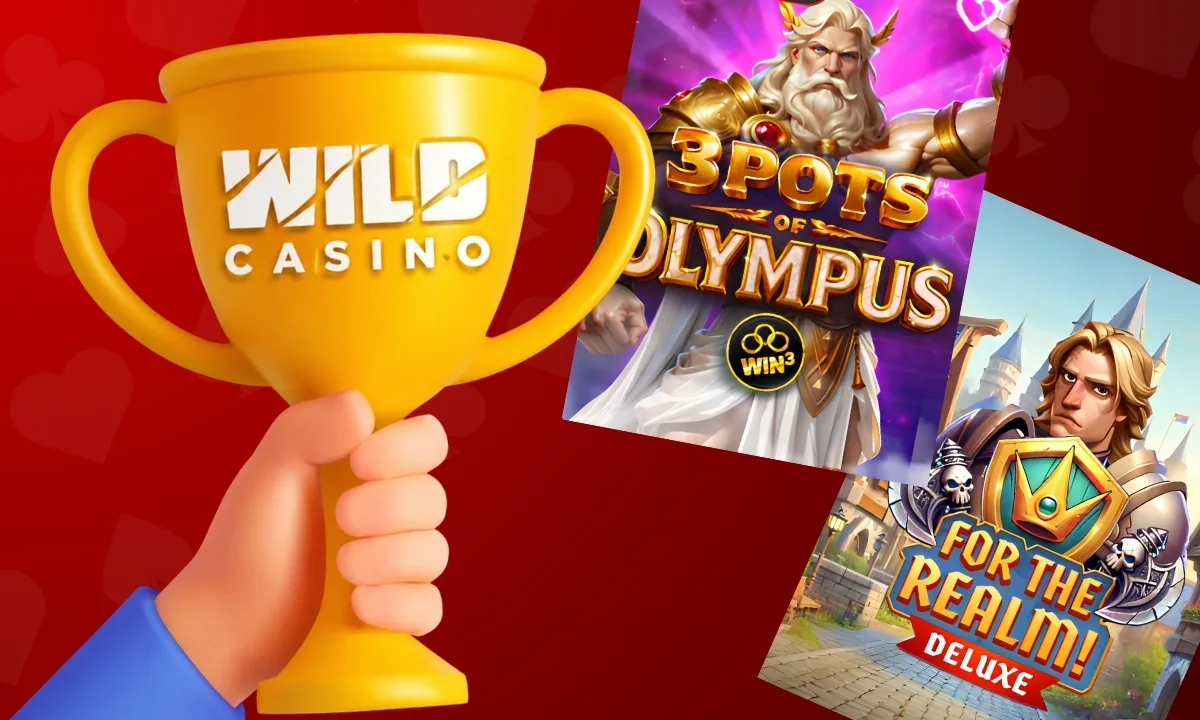Best Slots on Wild Casino (2026): Top Games & Picks | BitcoinChaser