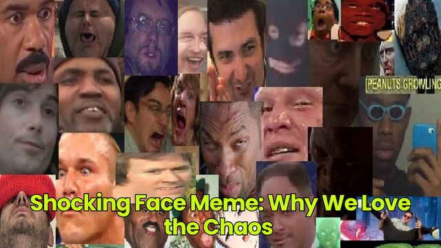 Shocking Face Meme: Why We Love the Chaos