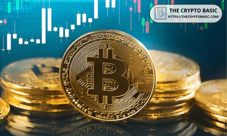 The Largest Bitcoin Holders No Longer Buying