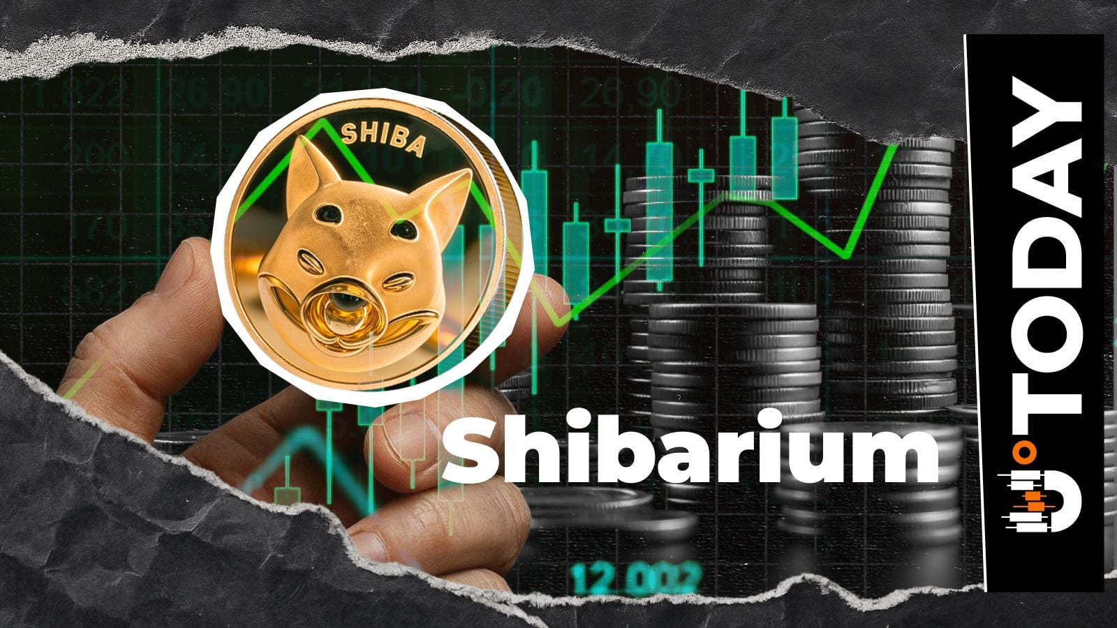 Shiba Inu: Shibarium Locks 'M' Movement Amid Fresh Transaction Wave - U.Today
