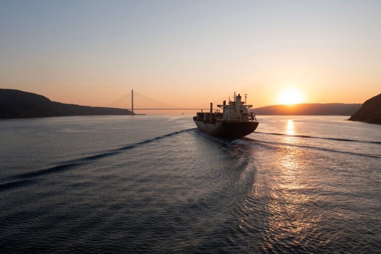 Commodities: Oil Steadier As Market Digests Trump’s Hormuz Plan