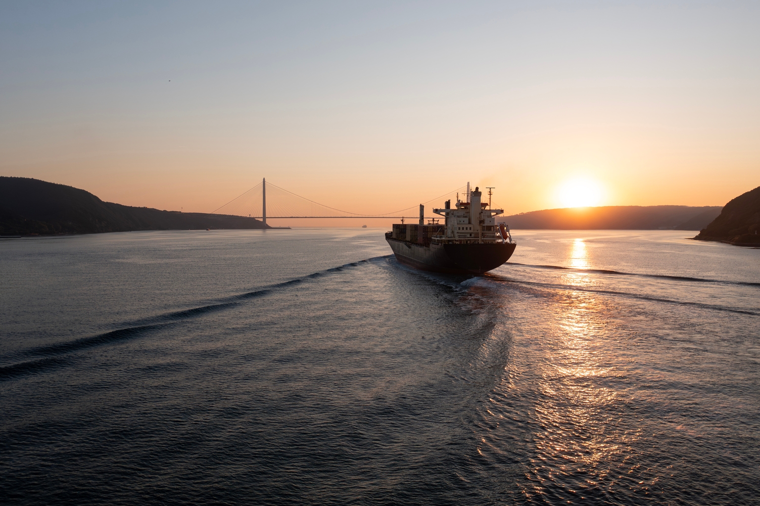 Commodities: Oil Steadier As Market Digests Trump’s Hormuz Plan