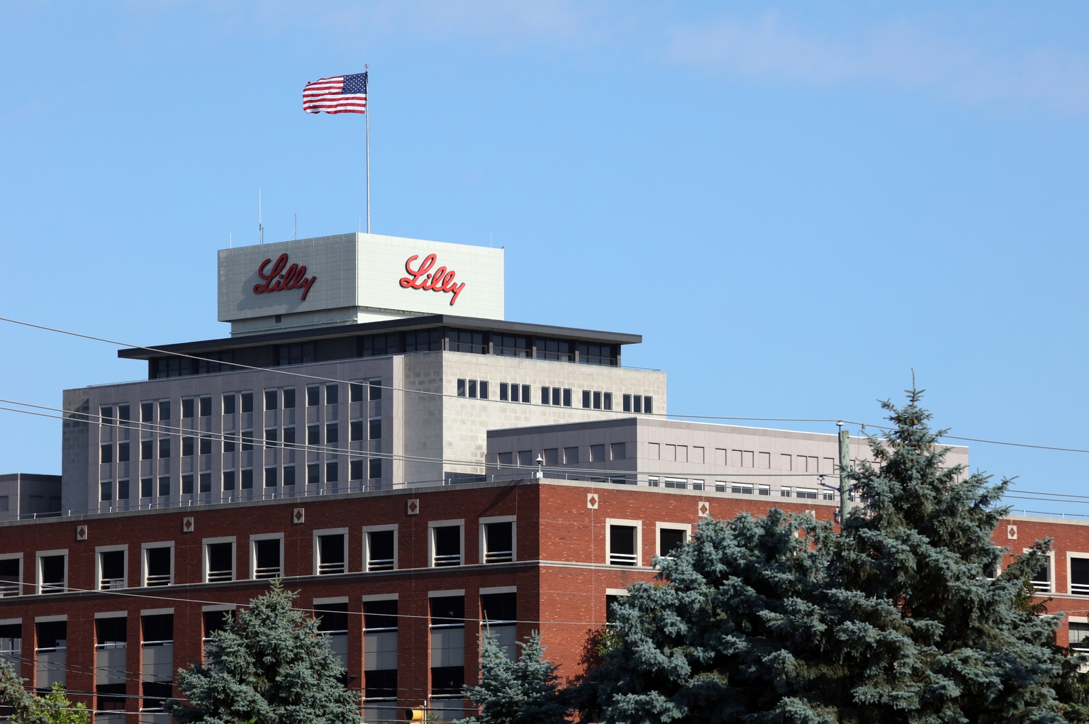 Eli Lilly: Big Upside Likely (Rating Upgrade) (NYSE:LLY)