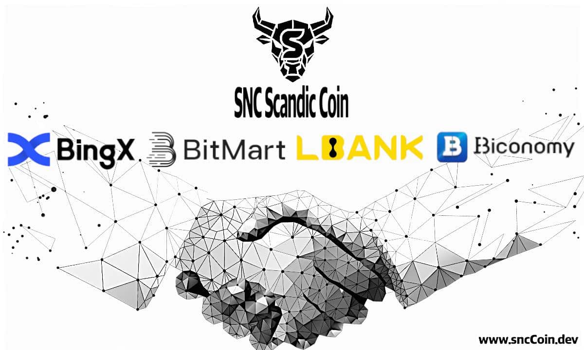 SNC_Scandic_Coin_and_BingX_Bitmart_L-Bank_Biconomy_177971998308YANB6uea