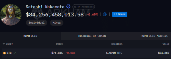 satoshi networth
