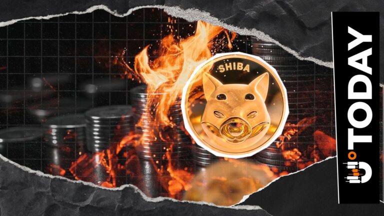 Shiba Inu Burn Rate Surges 812% as Price Signals Rally - U.Today