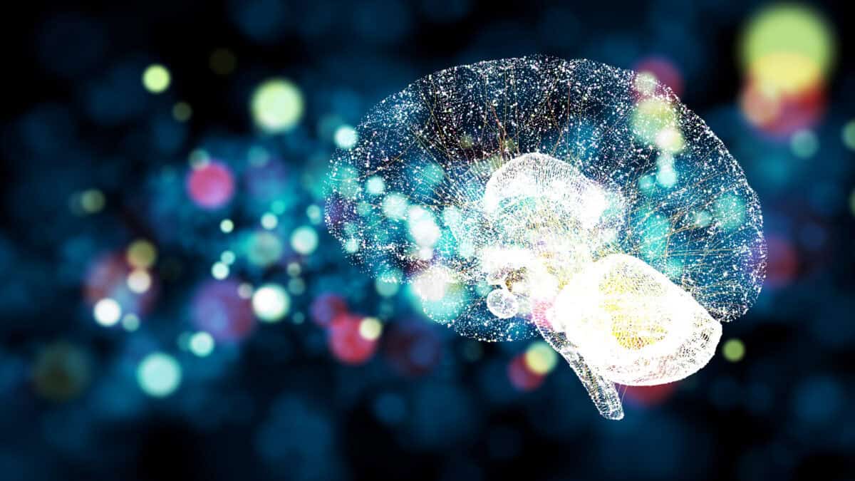 visualization of a digital brain