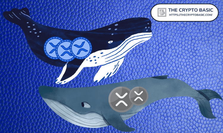 XRP Whale Selling Pressure May Be Cooling as Binance Inflows Decline, CryptoQuant Says