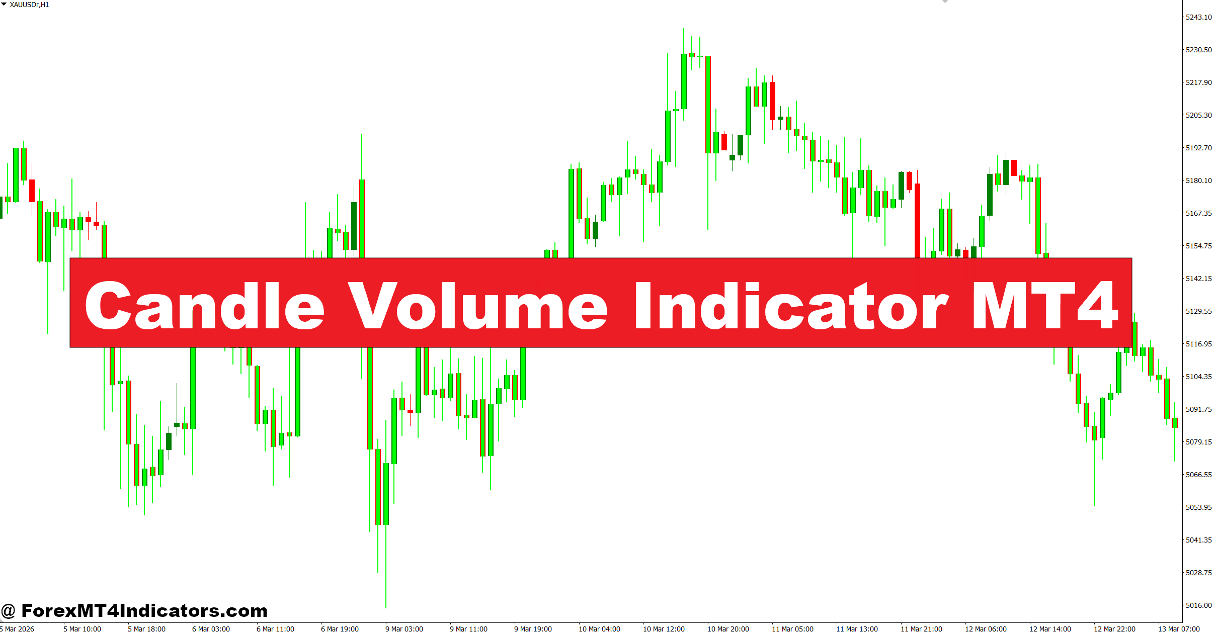 Candle Volume Indicator MT4